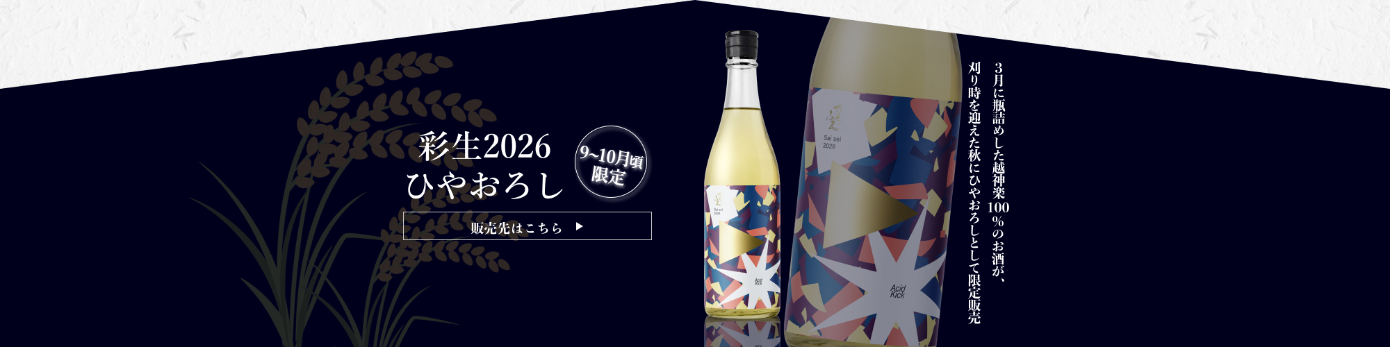 9～10月限定　彩生saisei