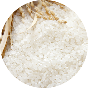 From Polished Rice to Steamed Rice